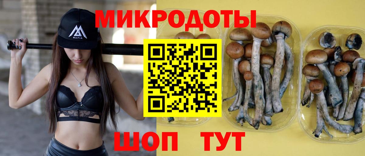 Галлюциногенные грибы ЛСД Норильск
